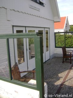 De Strandpluvier